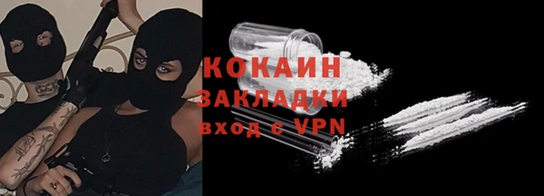 амф Верея