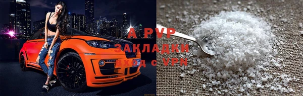 амф Верея