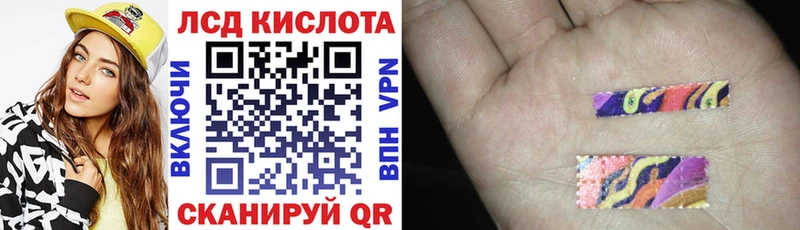 купить наркотики цена  Сургут  Наркотические марки 1500мкг 