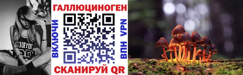 Галлюциногенные грибы Psilocybine cubensis  Сургут 